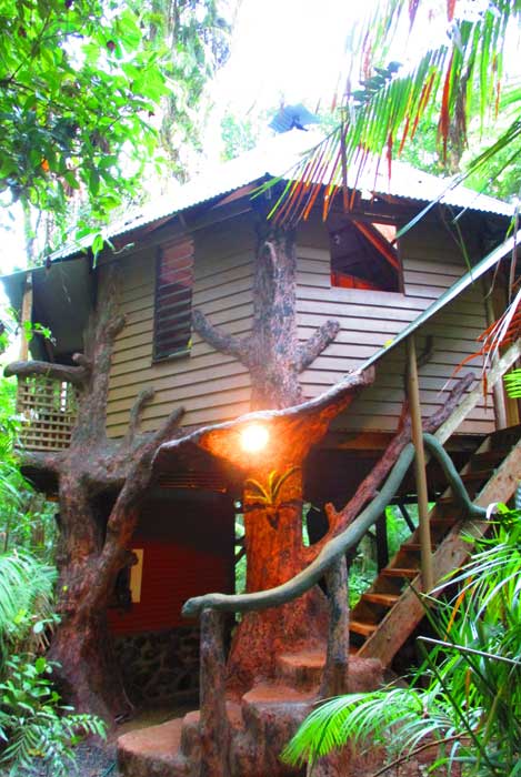 Jungle Treehouse